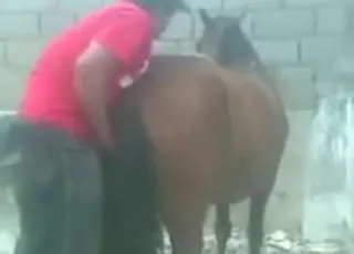 Mare takes massive boner in tight zoo sex scene