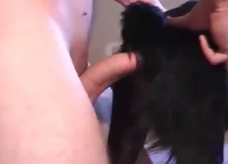 Small dog filthy anal sex clip - hot zoo sex with cute animal