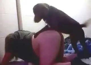 Fast doggystyle zoo sex with a milf hoe riding a horse in the stable