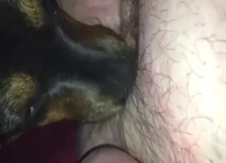 Sexy dog zoo sex clip proper nasty animal sex animal porn zofilia zophilia