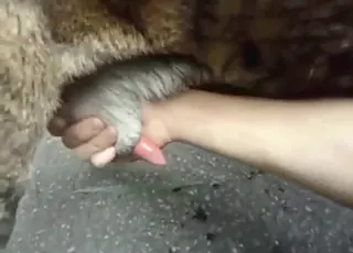 Horned dude jerks off dog in short 39s clip