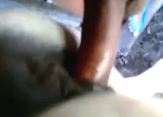 Wet donkey pussy cracking wide open in HD