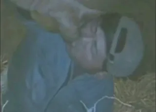 Bull Blowjob with plenty of hot action: animal sex Scene with Real Zoo Animal