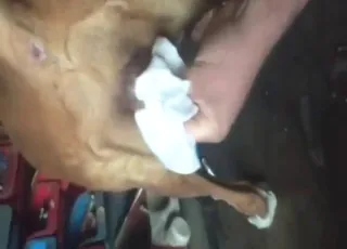 Bitch gets stroked and cums in hot movie scene