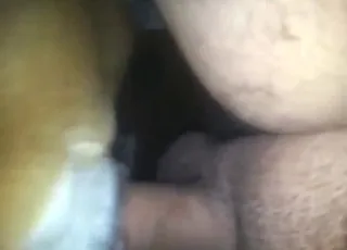 Slutty animal takes peen in living room sex scene