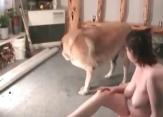 Busty brunette enjoys rough animal sex in dirty animal sex scene