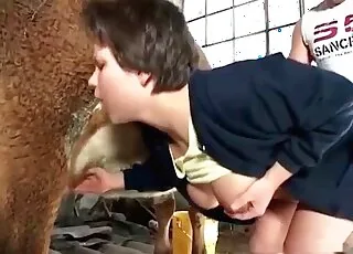 Amateur couple having sex with a sexy cow in the barn
