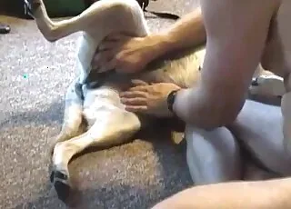 Playful angel enjoying hardcore animal sex