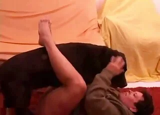 zoo sex: black animal ramming tight cunt on cam