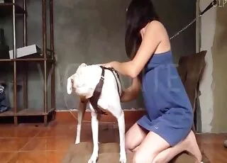 Pretty babe and dog animal sex action in amateur porn