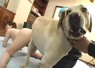 Cute Asian babe drinks doggy semen with passion