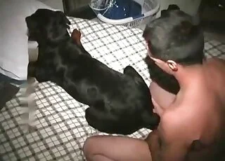 Hardcore animal sex clip with deep gape finish