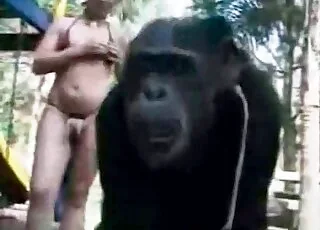 Massive Beast Fucking Her Senseless in Raw Zoo Sex Clip