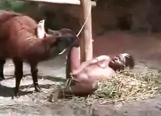Black bitch getting frisky in a hot animal sex movie